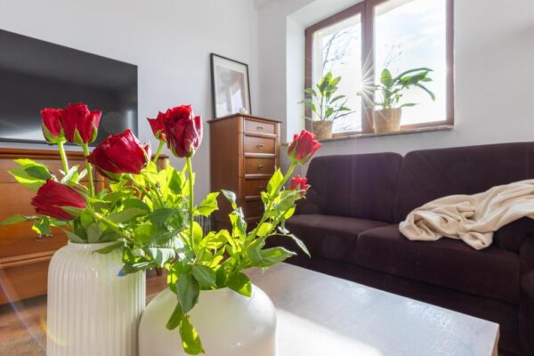 Salt City Apartment no. 2