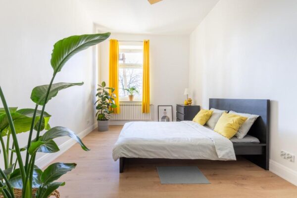 Salt City Apartment no. 1